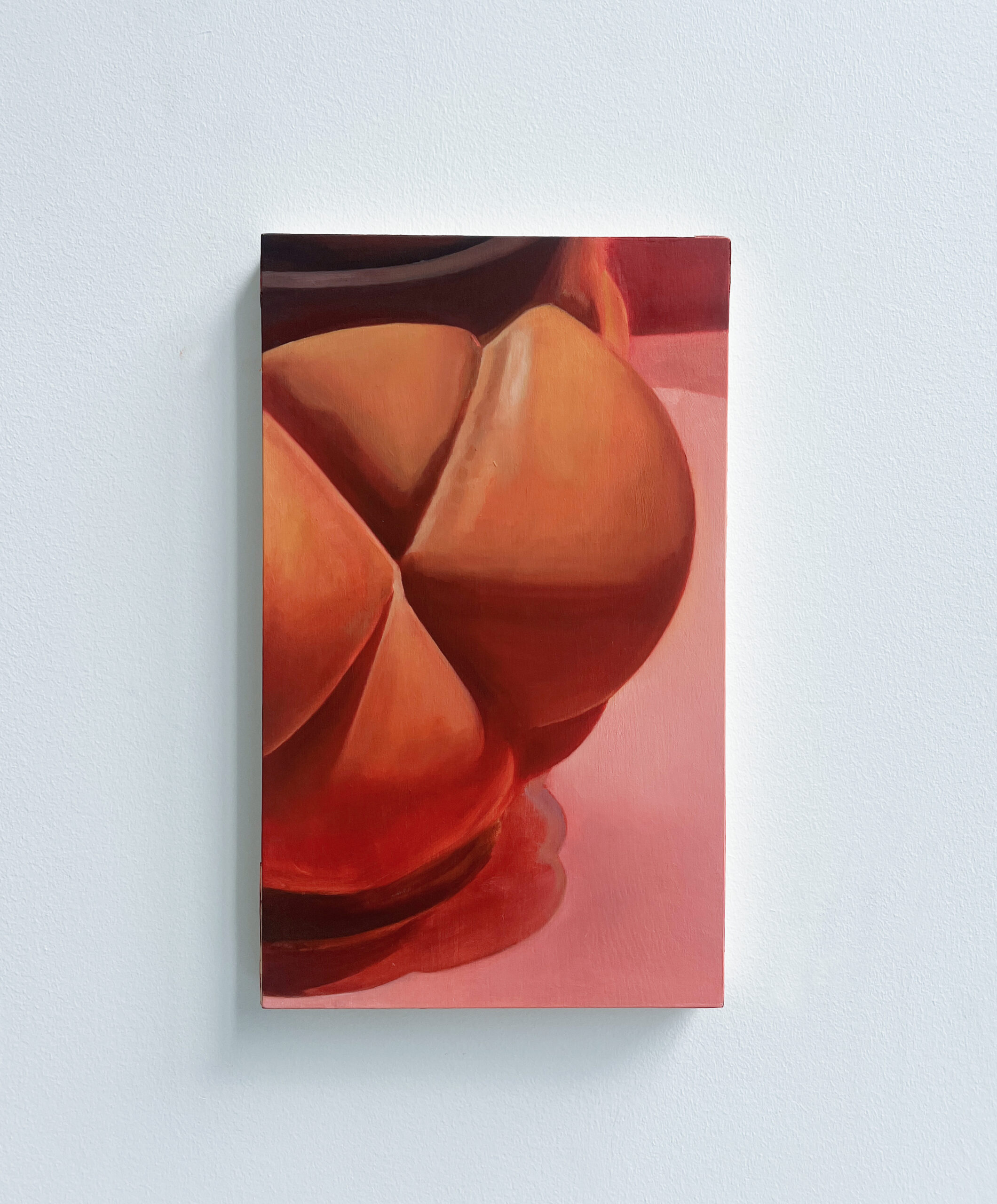 En terrain clos face mur